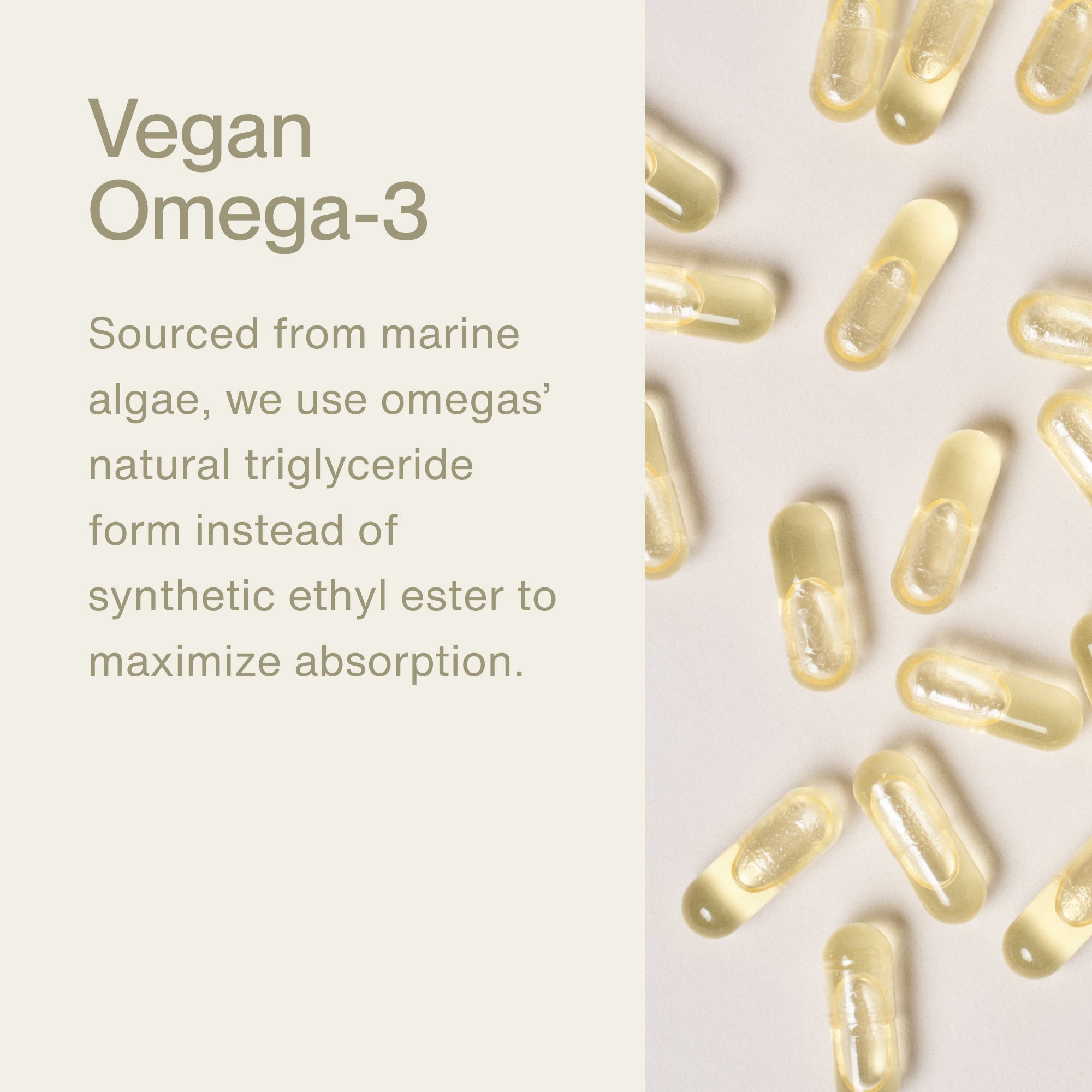 The Momentous Three - Vegan