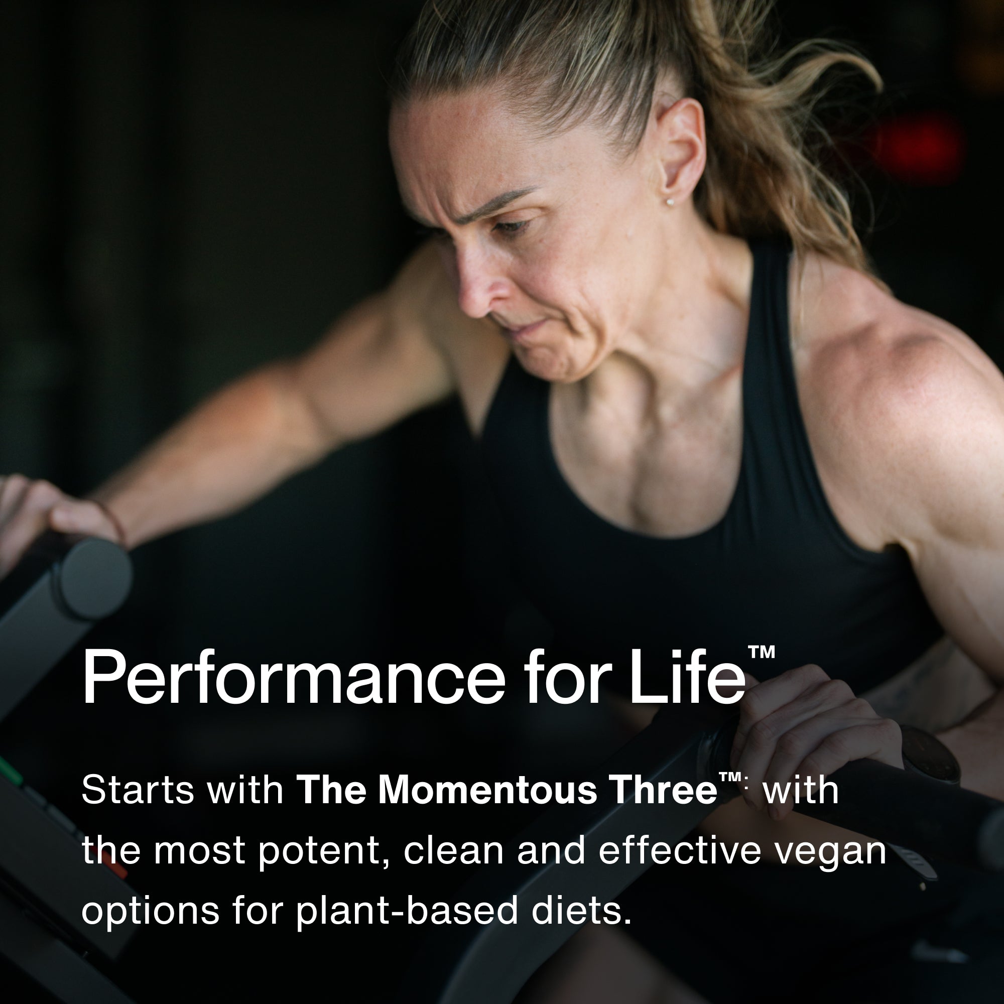 The Momentous Three - Vegan