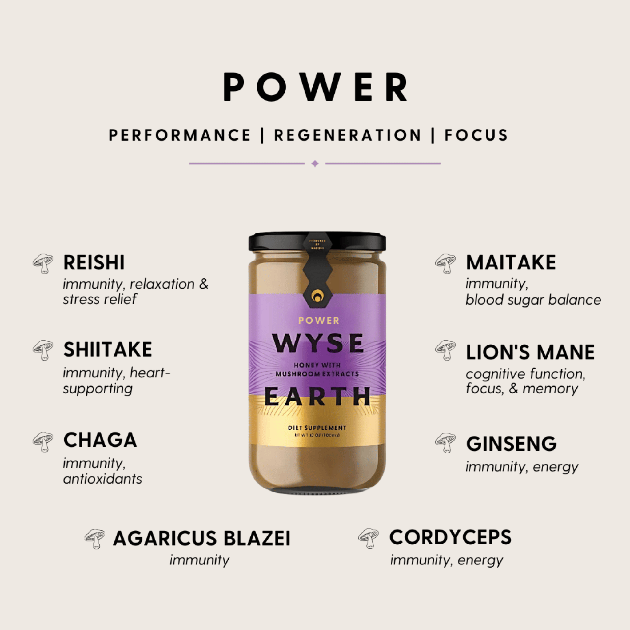 Wyse Earth Power