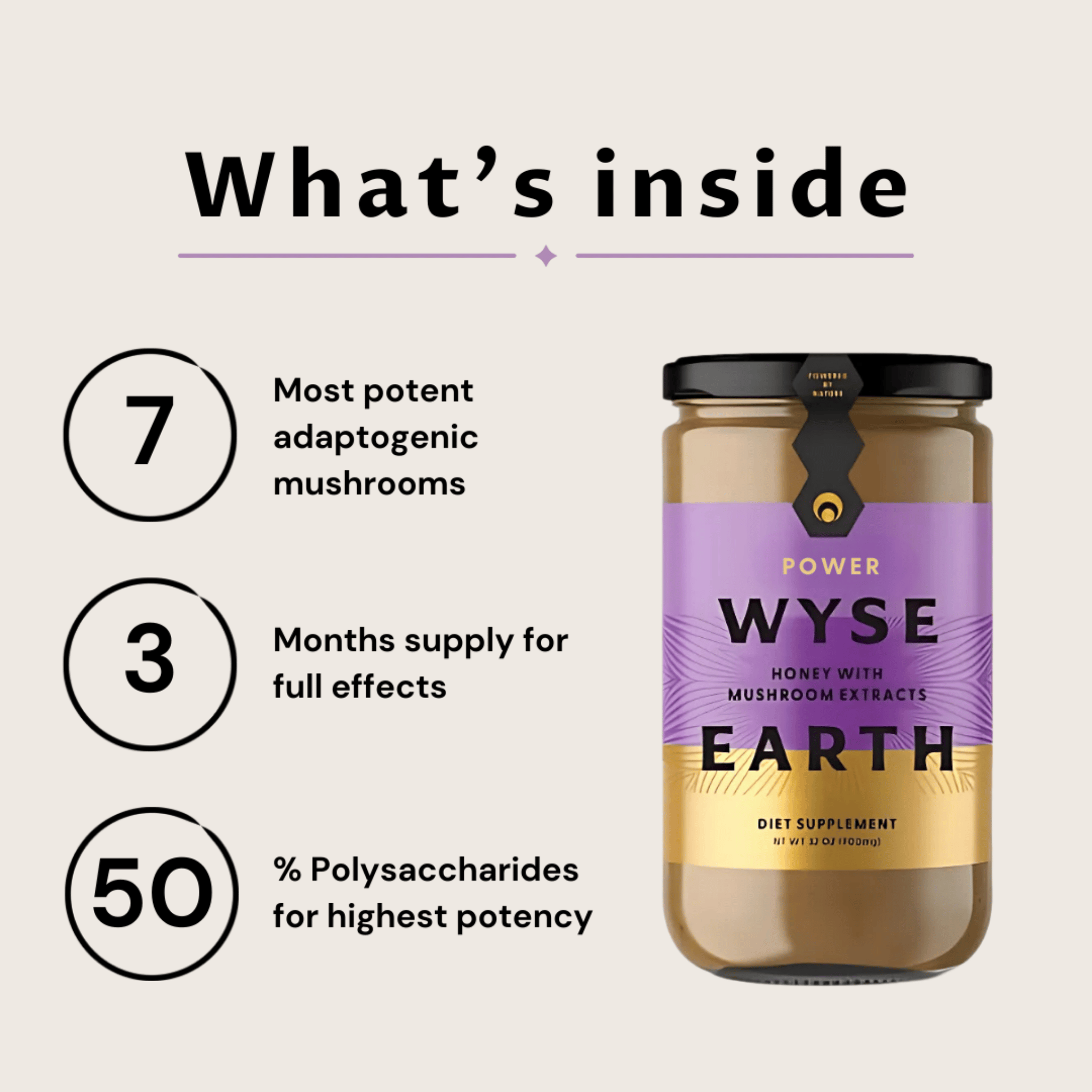 Wyse Earth Power