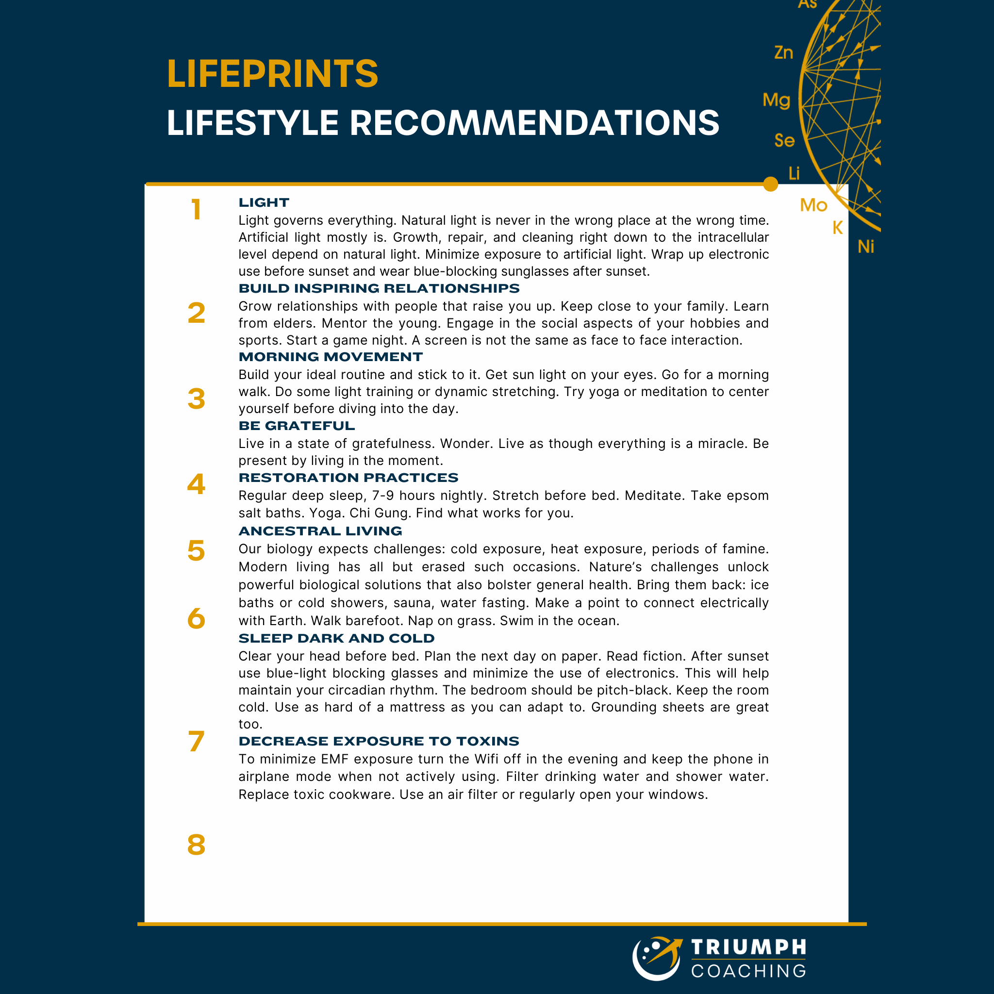 LIFEprint