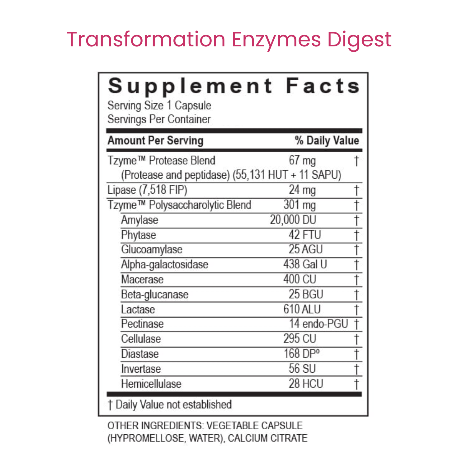 Triumph Coaching | Basic Triumph Coaching Bundle