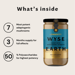 Wyse Earth Longevity
