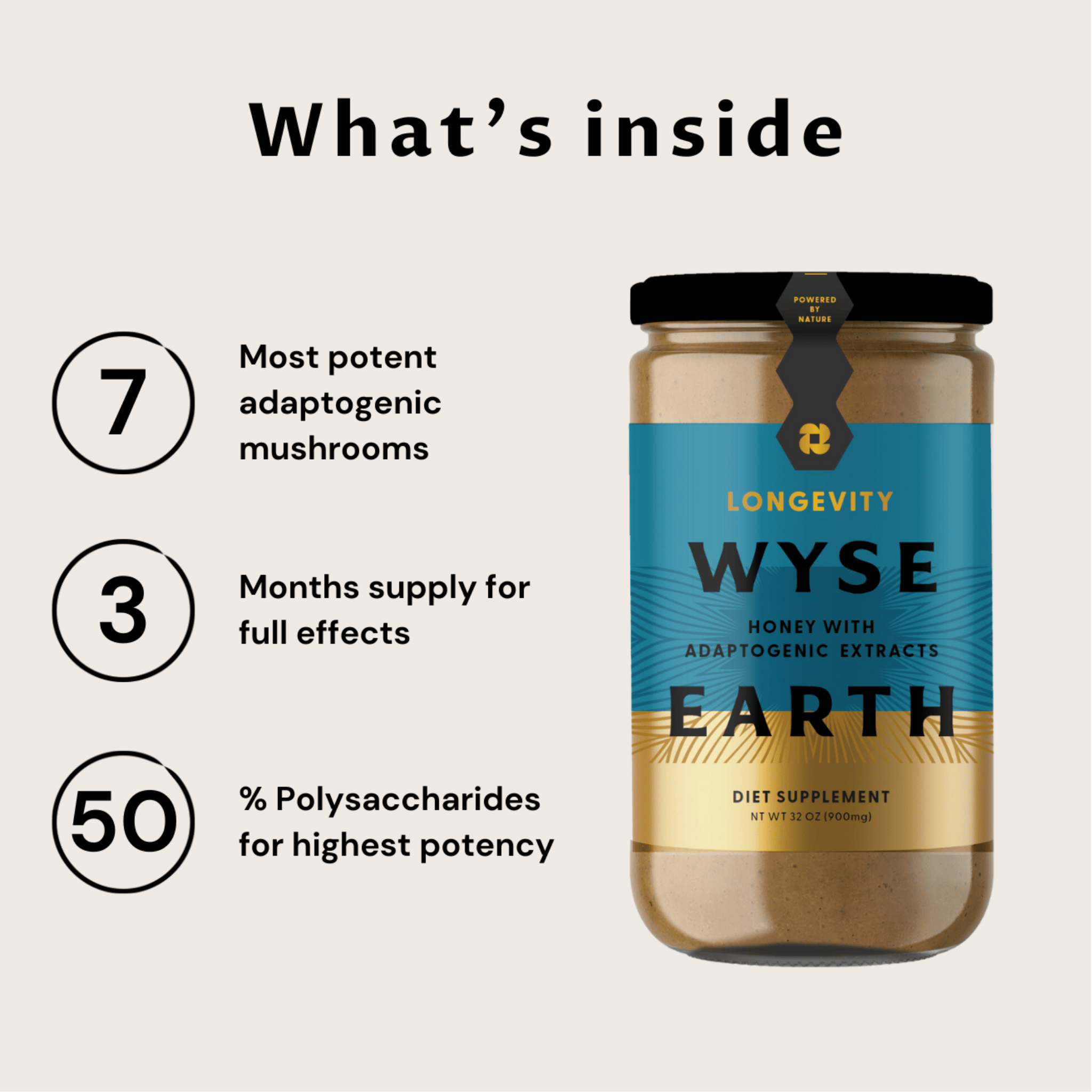 Wyse Earth Longevity