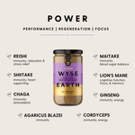 Wyse Earth Power