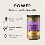 Wyse Earth Power