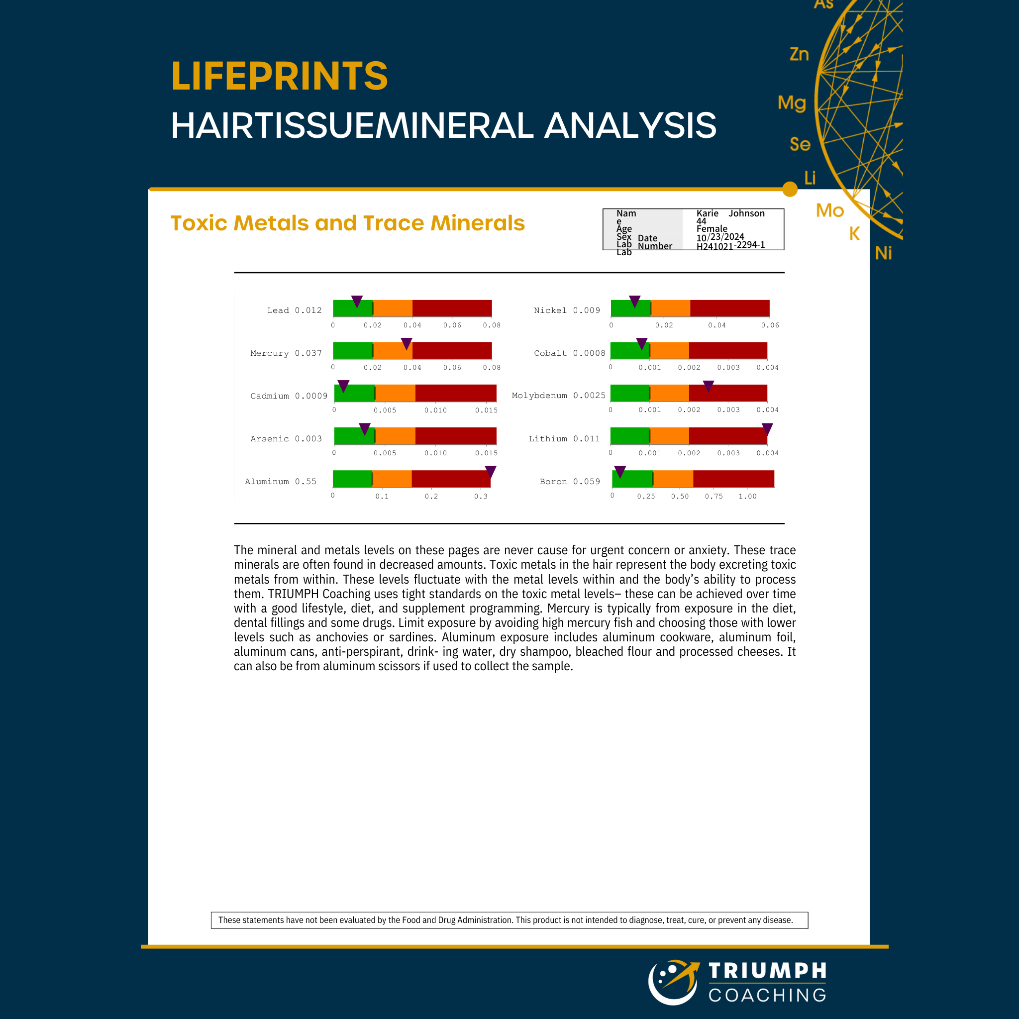 LIFEprint